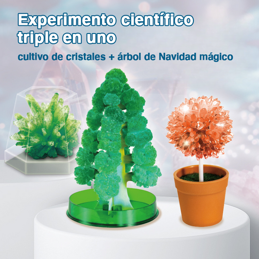 Experimento científico triple en uno (cultivo de cristales  + árbol de Navidad mágico)